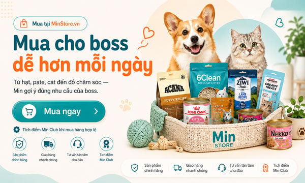 Mua cho boss dễ hơn mỗi ngày