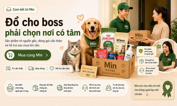 Đồ cho boss phải chọn nơi có tâm