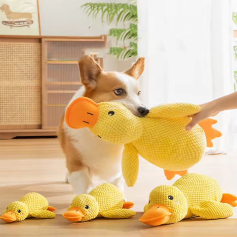 Đồ chơi cho chó nhồi bông con vịt vàng phát ra âm thanh vui nhộn
