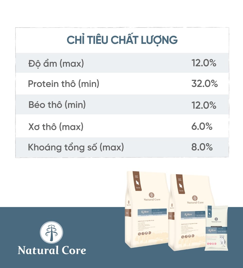 Thức ăn cho mèo con