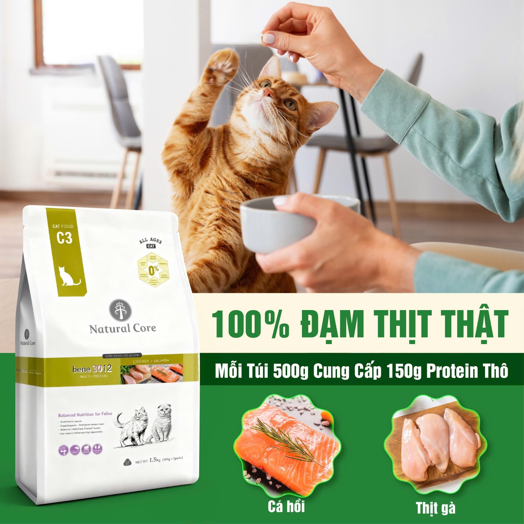 Thức ăn cho mèo Thịt gà & Cá hồi