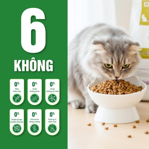 Thức ăn cho mèo Thịt gà & Cá hồi
