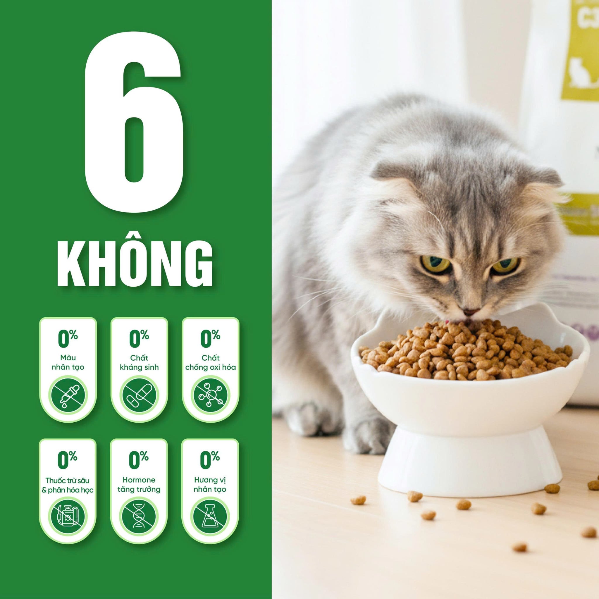 Thức ăn cho mèo Thịt gà & Cá hồi