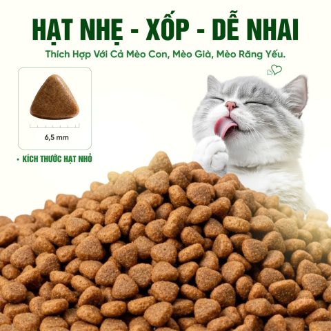 Thức ăn cho mèo Thịt gà & Cá hồi