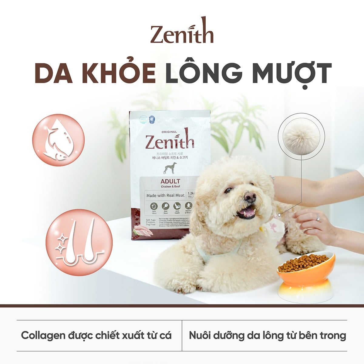 Thức ăn hạt mềm Zenith Thịt gà & bò cho chó trưởng thành